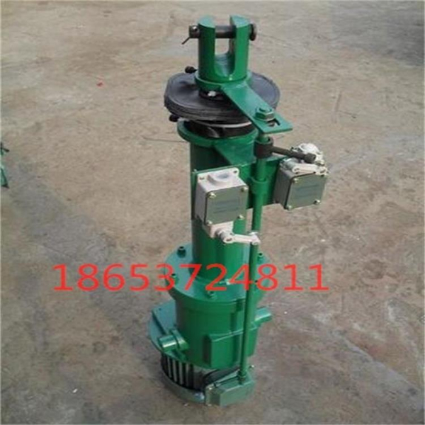 DTZ電液推桿 來金品找小楊買推桿優(yōu)惠多多 DTZ電液推桿 來金品找小楊買推桿優(yōu)惠多多